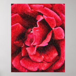 Diepe rode roze foto's Kunst afdrukken Poster