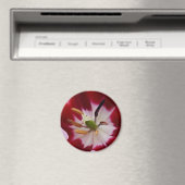 Diepe rode tulp magneet (Insitu (Vaatwasser))