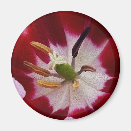 Diepe rode tulp magneet (Voorkant)