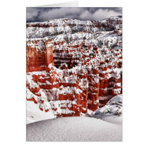 Diepgevroren landschap