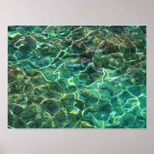 Diepgroene zoete wateren poster (Voorkant)