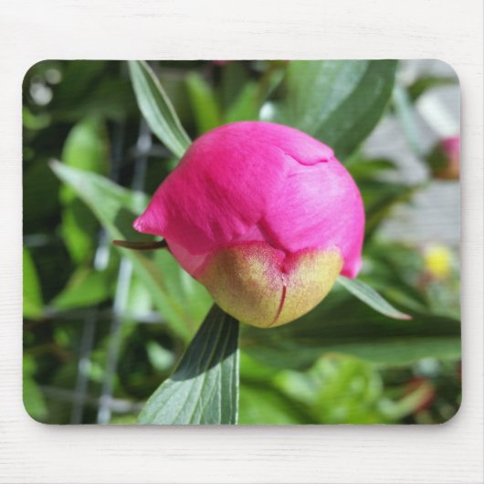 dieproze knop muismat (Voorkant)