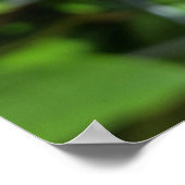 dieproze knop poster (Hoek)