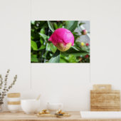 dieproze knop poster (Keuken)