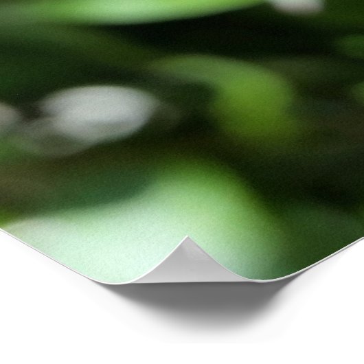 dieproze knop poster (Hoek)