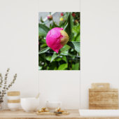 dieproze knop poster (Keuken)