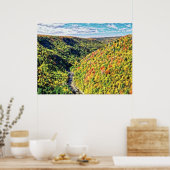 Diepte 70 Bristle oliemyk Poster (Keuken)