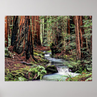 Diepte 92 Detail Poster