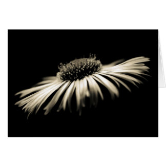 Diepte van Zuiverheid