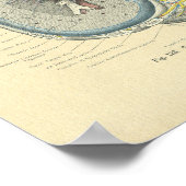  diepvriesdoorsnede poster (Hoek)