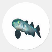 Diepzee Barreleye Vis Sticker, Transparante Kop
