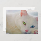 Dier Briefkaart (Voorkant / Achterkant)