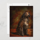 Dier - Dog - Cocker Spaniel - Die droomogen Briefkaart (Voorkant / Achterkant)