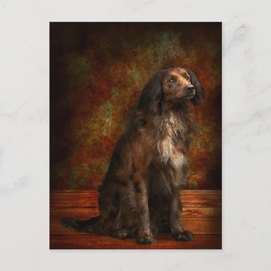 Dier - Dog - Cocker Spaniel - Die droomogen Briefkaart (Voorkant)