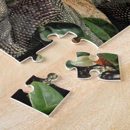 Dier Iguana Exotic Reptile Pet Lizard USVI Legpuzzel (Zijkant)
