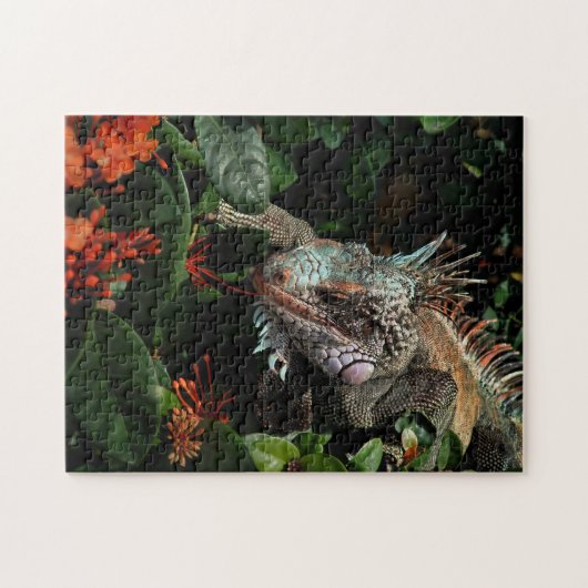 Dier Iguana Exotic Reptile Pet Lizard USVI Legpuzzel (Horizontaal)