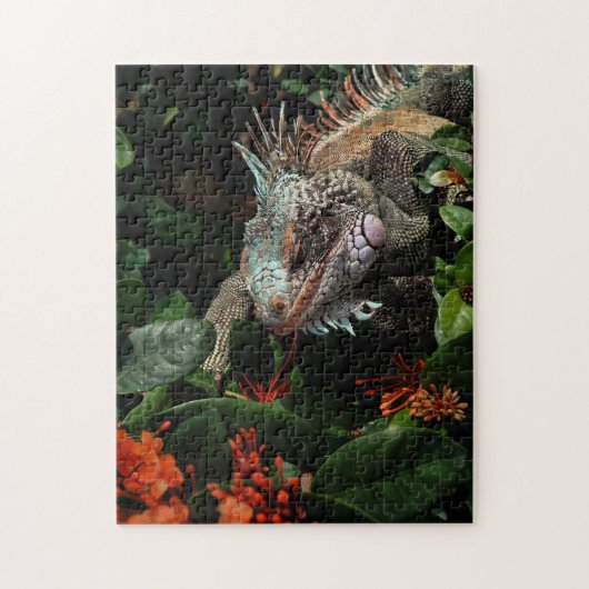 Dier Iguana Exotic Reptile Pet Lizard USVI Legpuzzel (Verticaal)