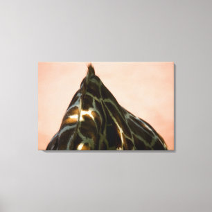 Dier in gevangenschap canvas afdruk