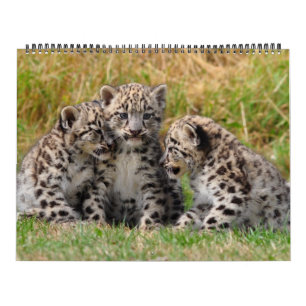 Dier Kalender