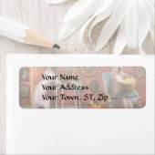 Dier - Kat - Pensioenhuis voor katten Etiket (Insitu)