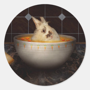 Dier - Konijn - Er zit een haas in mijn soep Ronde Sticker