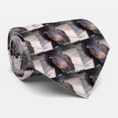 Dier, paard, Pony Stropdas (Opgerold)