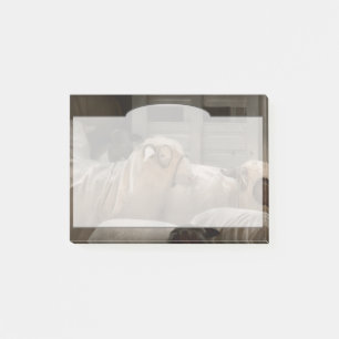 Dier - Schaap - De Orde Post-it® Notes