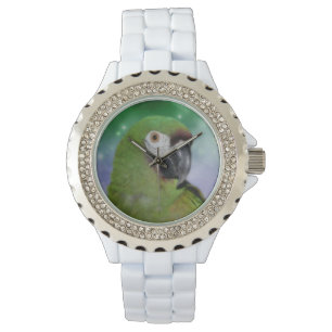 Dier Severe Macaw Parrot Horloge
