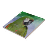 Dier Severe Macaw Parrot Tegeltje (Zijkant)
