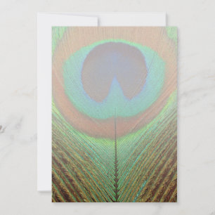 Dier - Vogel - Peacock Veer