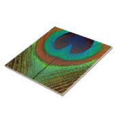 Dier - Vogel - Peacock Veer Tegeltje (Zijkant)