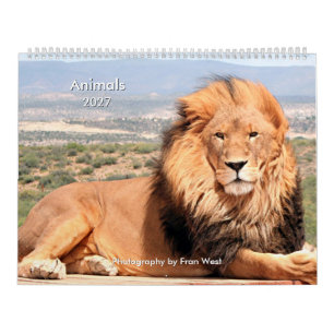 Dieren 2027 kalender