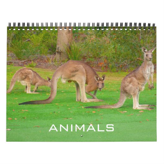 dieren 2027 kalender (Hoes)