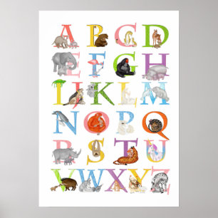 Dieren ABC-kinderkamerposter Poster