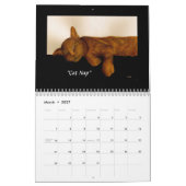 Dieren Aquarel Kalender (Mar 2027)