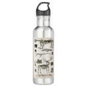 dieren, botten, structuur, skelet, bot, anatomie; waterfles  (Voorkant)