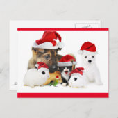 Dieren Briefkaart (Voorkant / Achterkant)