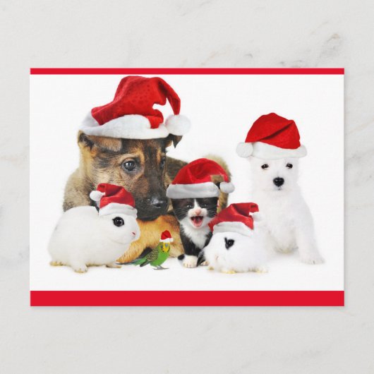 Dieren Briefkaart (Voorkant)