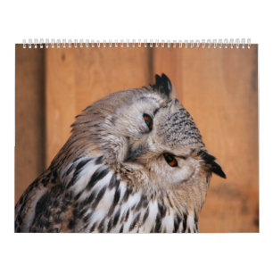 Dieren die naar je kijken kalender