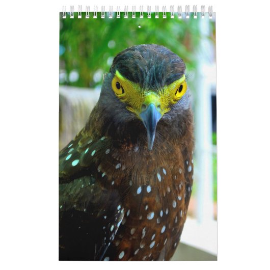 Dieren en huisdieren kalender (Hoes)