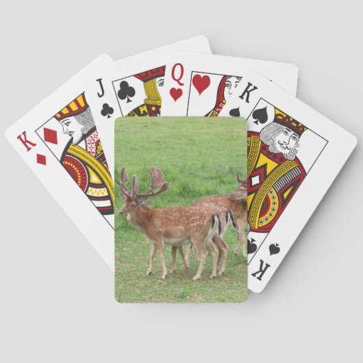 dieren, herten, wilde dieren, bossen, weide, jacht pokerkaarten (Achterkant)