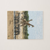 Dieren in een watergat legpuzzel (Horizontaal)