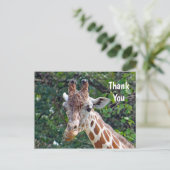 Dieren in het wild Giraffe Foto Bedankt Briefkaart (Staand voorkant)