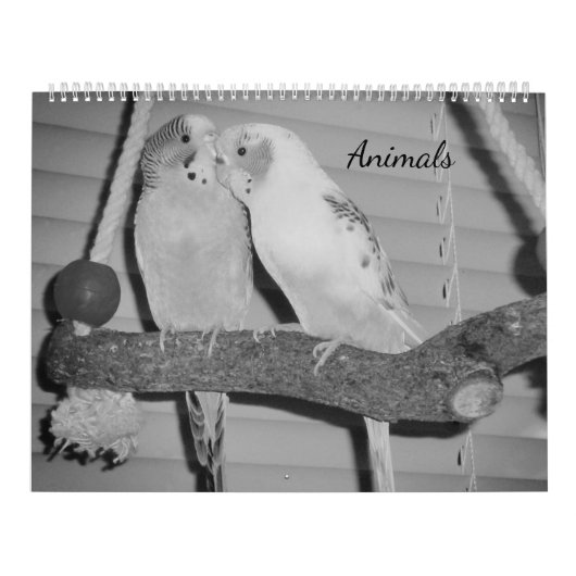 Dieren Kalender (Hoes)