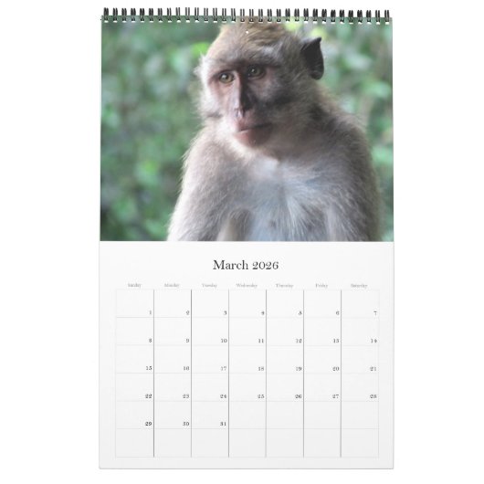 dieren kalender (Mar 2026)