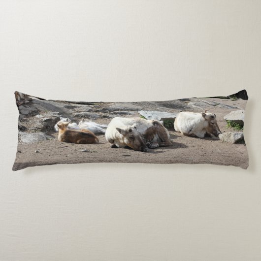 Dieren Lichaamskussen (Voorkant)