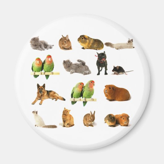 dieren magneet (Voorkant)