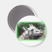 Dieren Magneet (Voorkant / Achterkant)