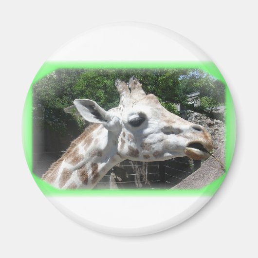 Dieren Magneet (Voorkant)