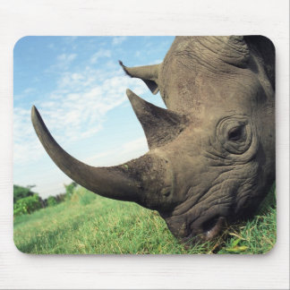 Dieren Mousepad 104 Muismat
